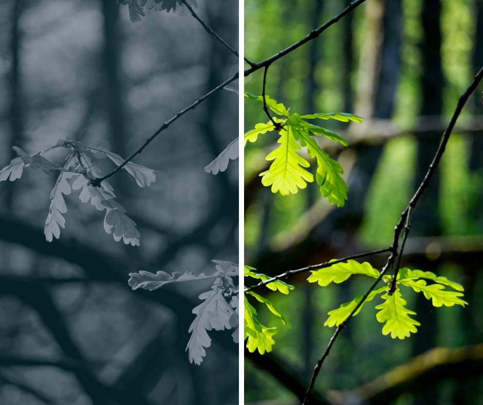 dlaczego biznes powinien interesowac sie zmianami klimatycznymi