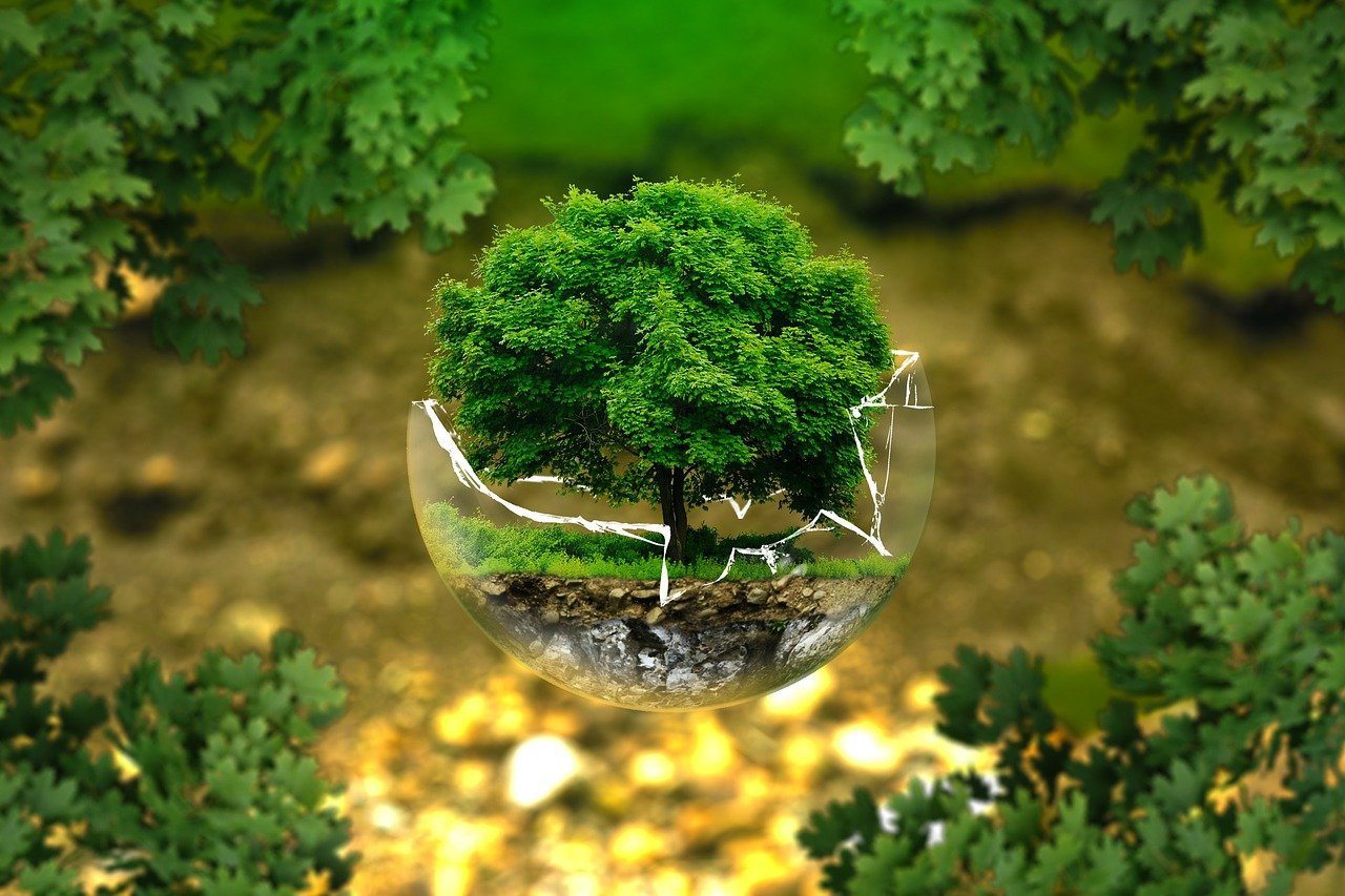 eko przywodztwo zmian klimatycznych na czym polegaja zmiany klimatyczne i jak wpływaja na zycie i gospodarke?