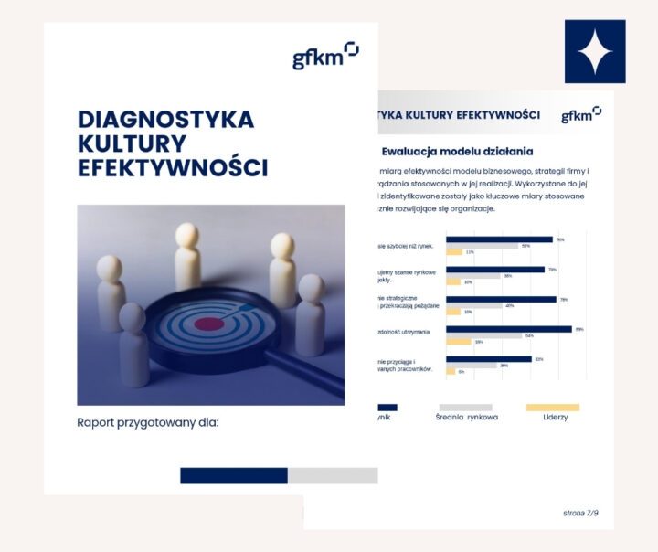 podgląd stron z raportu diagnostyki kultury efektywności